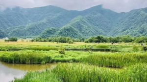 神農(nóng)架大九湖國(guó)家濕地公園
