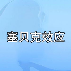 塞貝克效應(yīng)